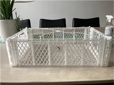 Pet Bottles Caps Injection Molding Moulding Machine